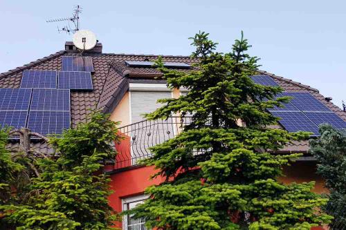 fotowoltaika-dla-domu-dla-firm-z-montazem-duzej-mocy-panele-polikrystaliczne-monokrystaliczne-half-cut-full-black-sharp-rodzaje (101)